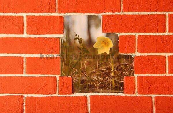 Фото: Покрашенная стена кирпичей