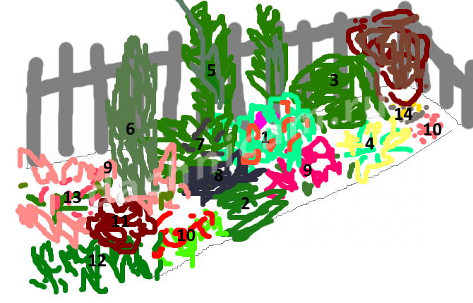 Как красиво оформить прямоугольную клумбу — схемы посадки цветов