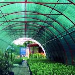 Затеняющая сетка 85%: выбираем, монтируем, ухаживаем